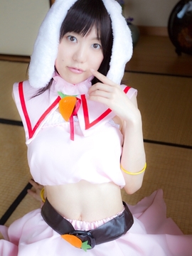 (コスプレ) (C78)(志乃蛍)東方蛍兎装_258