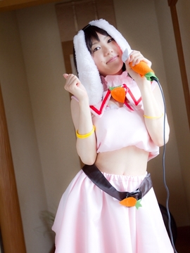 (コスプレ) (C78)(志乃蛍)東方蛍兎装_342