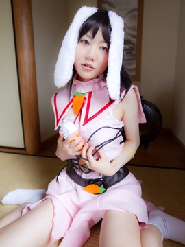 (コスプレ) (C78)(志乃蛍)東方蛍兎装_359