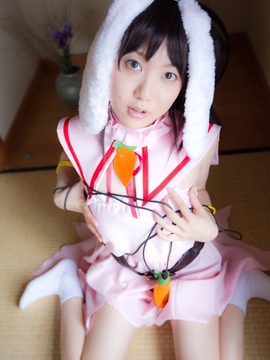 (コスプレ) (C78)(志乃蛍)東方蛍兎装_369