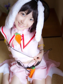 (コスプレ) (C78)(志乃蛍)東方蛍兎装_371