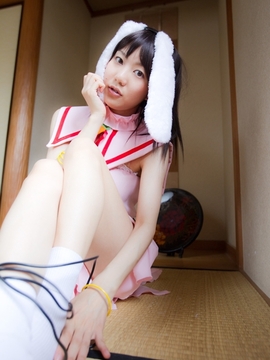 (コスプレ) (C78)(志乃蛍)東方蛍兎装_374