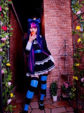 Stocking (Panty & Stocking) cosplay by Kuuya!_175