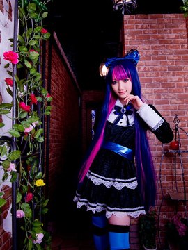 Stocking (Panty & Stocking) cosplay by Kuuya!_185