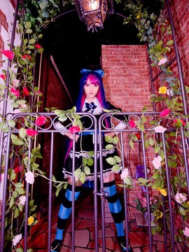 Stocking (Panty & Stocking) cosplay by Kuuya!_208