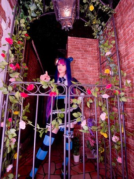 Stocking (Panty & Stocking) cosplay by Kuuya!_210