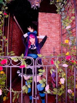 Stocking (Panty & Stocking) cosplay by Kuuya!_212