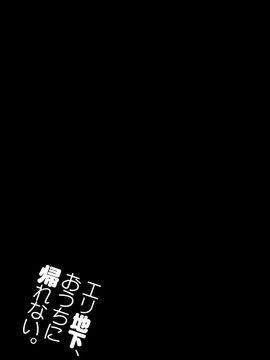 (C86) [ジンガイマキョウ (犬江しんすけ)] エリ地下、おうちに帰れない。 (ラブライブ!) [空気系☆漢化]_27_026