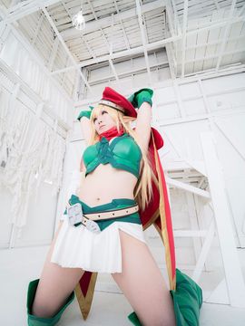 [築地市場] ALLEAN – Leaf Battle Master_048