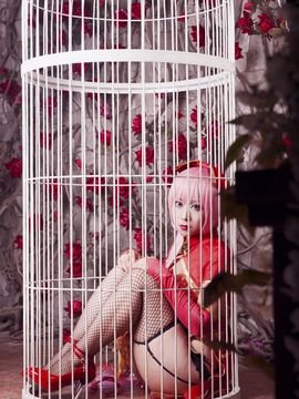 《lovelive》luka金丝雀 C O S P L A Y_luka金丝雀 C O S (10)