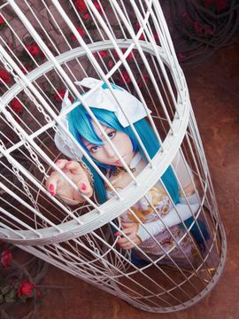 《lovelive》初音未来笼中雀C O S P L A Y_初音未来笼中雀C O S (5)