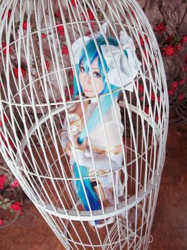 《lovelive》初音未来笼中雀C O S P L A Y_初音未来笼中雀C O S (8)