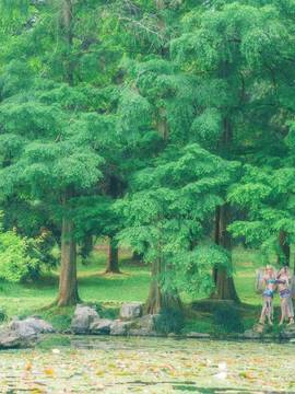 《lovelive！》绚濑绘里舞娘觉醒 C O S_LOVELIVE！舞娘觉醒 ELI (1)