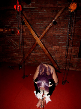 [mariposa luz de la luna (蝶月真綾)] MAUSER_313