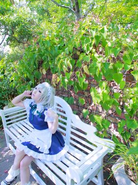 [Shooting Star's (サク)] SWEET GARDEN (東方Project)_169