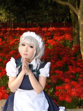 [Shooting Star's (サク)] SWEET GARDEN (東方Project)_221