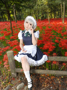 [Shooting Star's (サク)] SWEET GARDEN (東方Project)_269