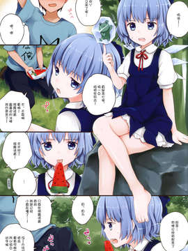 07_まき_ チルノちゃんにおあずけされたい人向け_例大祭10_03_cirno03