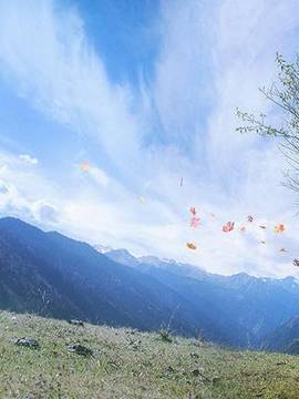 《阴阳师手游》鬼女红叶一直都在这里等你哟 C O S P L A Y_0006
