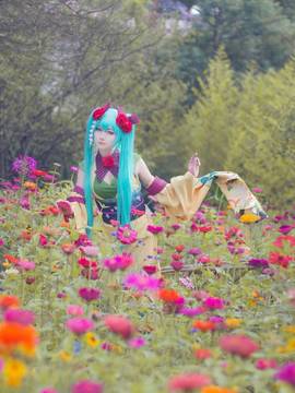 《VOCALOID》初音未来，异国歌姬ver  C O S P L A Y_miku 异国的歌姬 雏菊和服 (13)