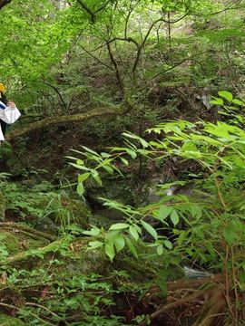 [Shooting Star's] ひとりごっこ_165