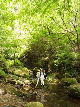 [Shooting Star's] ひとりごっこ_201