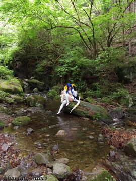 [Shooting Star's] ひとりごっこ_228