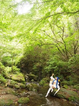 [Shooting Star's] ひとりごっこ_229