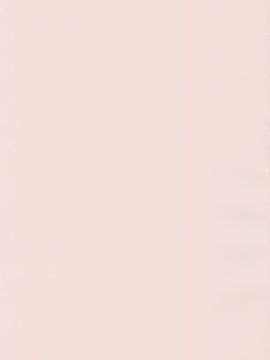 [空巣] メスはめイキぞめ + とらのあなリーフレット_229