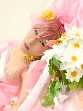 《gundam seed》拉克丝·克莱茵婚纱 C O S P L A Y_0001