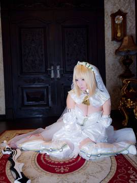 [Shooting Star's (サク)] Blessings rose (フェイト  グランドオーダー)_230