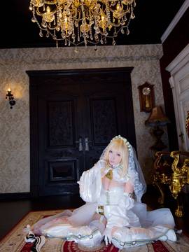 [Shooting Star's (サク)] Blessings rose (フェイト  グランドオーダー)_231
