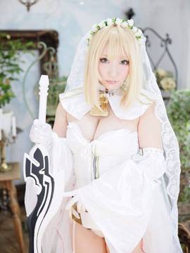 [Shooting Star's (サク)] Blessings rose (フェイト  グランドオーダー)_248