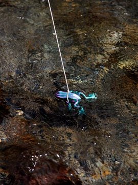 [mariposa luz de la luna] 狩 Monster Hunter 2G_0056