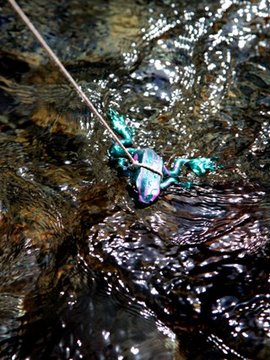 [mariposa luz de la luna] 狩 Monster Hunter 2G_0057