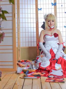 《Fate Grand Order》月刊特典saber&nbsp;&nbsp;C O S P L A Y_saber仙鹤礼服 (11)