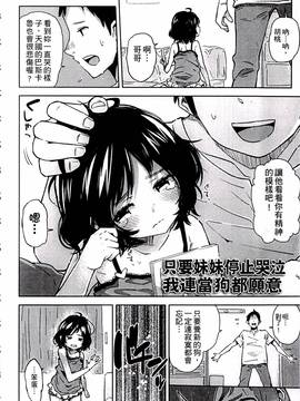 [せいほうけい] ちっぱいはせいこうのもと_106