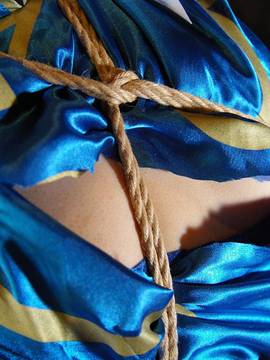 [Night Cocoon] 龍星落_118