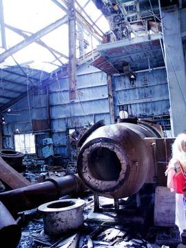 [Shooting Star's] Deep Rabbit_0651