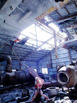 [Shooting Star's] Deep Rabbit_0680