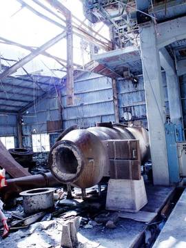 [Shooting Star's] Deep Rabbit_0683