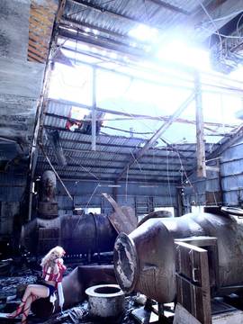 [Shooting Star's] Deep Rabbit_0684