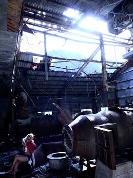 [Shooting Star's] Deep Rabbit_0685