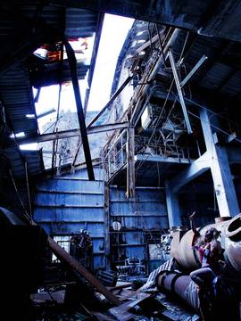 [Shooting Star's] Deep Rabbit_0687