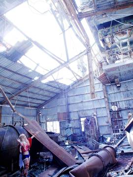 [Shooting Star's] Deep Rabbit_0693