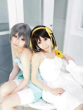 [Sparkle] Lupinas Yellow_049