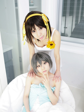 [Sparkle] Lupinas Yellow_051