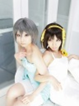 [Sparkle] Lupinas Yellow_293