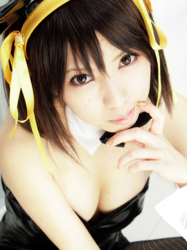 [Sparkle] Lupinas Yellow_332