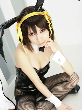 [Sparkle] Lupinas Yellow_337